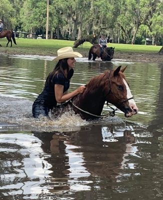 Horse and rider in water image.