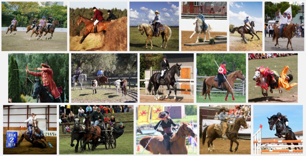 Specialized Horsemanship Images
